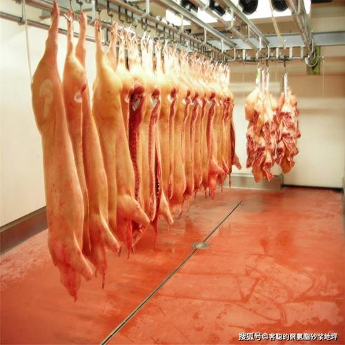 食品廠冷庫(kù)為何使用聚氨酯砂漿地坪