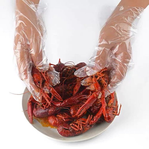 一次性手套加厚餐飲食品家務吃龍蝦pe透明塑料廠價直銷