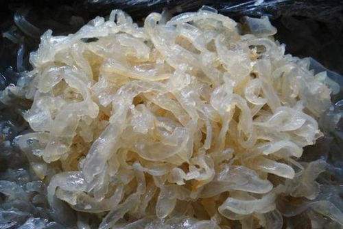 被海蜇刺痛的人生一課 一個大學生與農(nóng)村大媽的深刻相遇