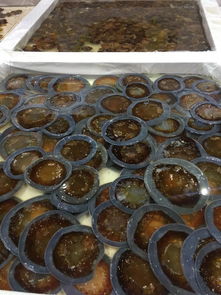 2019中國營口海蜇節(jié)盛大開幕 特色產(chǎn)品匯聚，海濱盛宴邀您共赴