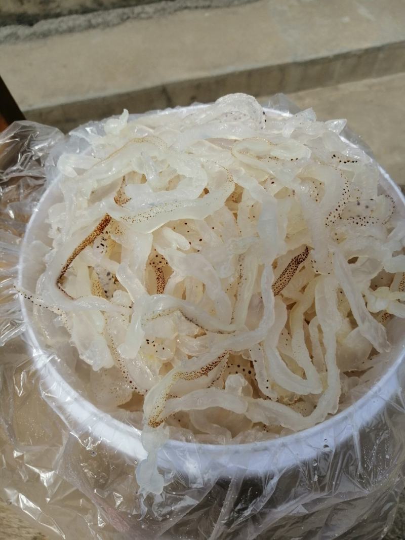 濱州沾化海蜇 海味珍品，品鮮嘗脆正當時